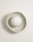 Shell Sconce Wall Light