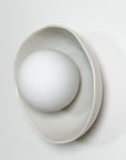 Shell Sconce Wall Light