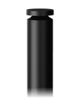 Athena Bollard