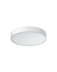 Akira Ceiling Light