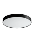 Akira Ceiling Light