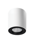 Apex Surface Mounted Downlight