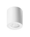 Apex Surface Mounted Downlight
