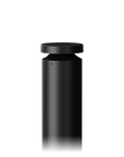 Athena Bollard