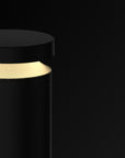 Athena Bollard