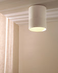 Day Surface Mount Ceramic Ceiling Light