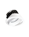 EQ Tilt Downlight