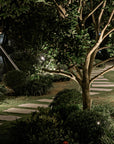 Evio Bollard Light