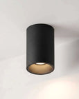 Fuoco Surface Mount Downlight