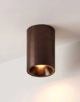 Fuoco Surface Mount Downlight