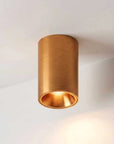 Fuoco Surface Mount Downlight