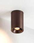 Fuoco Surface Mount Adjustable Downlight