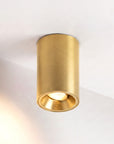 Fuoco Surface Mount Adjustable Downlight