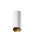 ION R Surface Mounted Downlight