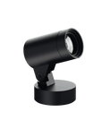 Locus Spotlight