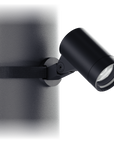 Locus Spotlight