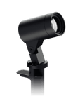 Locus Spotlight