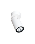Onyx Spotlight