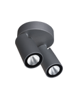 Onyx Spotlight