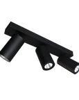 Onyx Spotlight