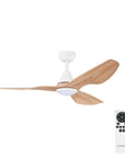 Simplicity DC Fan