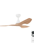 Simplicity DC Fan
