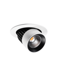 Switch Adjustable Downlight