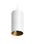 Titanium G2 Suspended Downlight