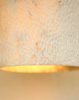 Fossil Coral Arc Dome Wall Light