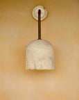 Fossil Coral Arc Dome Wall Light