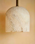 Fossil Coral Arc Dome Wall Light