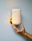 Fossil Coral Dome Wall Sconce