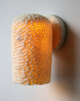 Fossil Coral Dome Wall Sconce