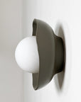 Shell Sconce Wall Light