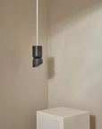 Terra 1.5 Pendant Light Solid Rod