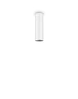 Look Surface Mount Light