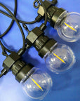 Festoon Lighting