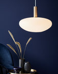 Alton Opal Glass Pendant Light