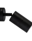 Single Adjustable Light