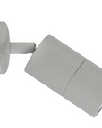 Single Adjustable Light