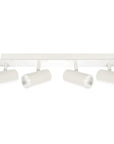 The Sleek - 4 Adjustable Spot