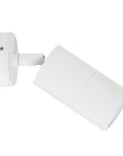 Single Adjustable Light