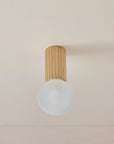 Attalos Ceiling Light