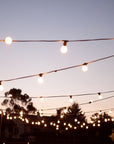 Festoon Lighting