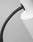 Rheeba Floor Lamp