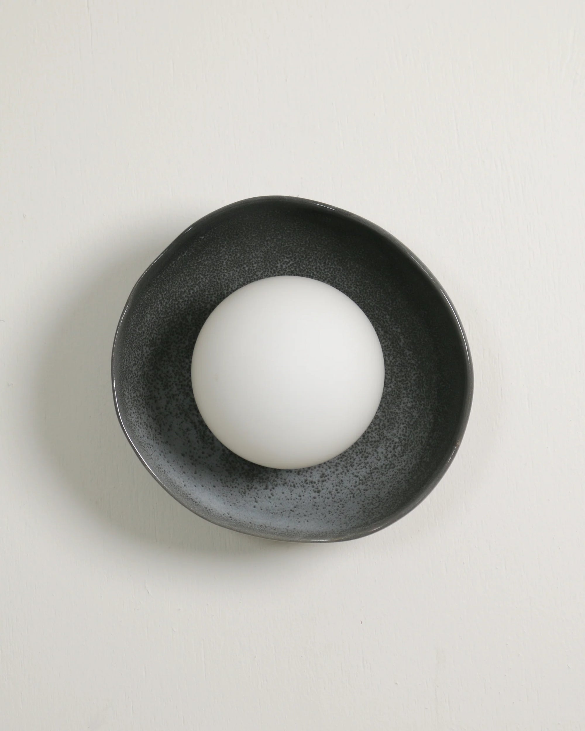 Shell Sconce Wall Light