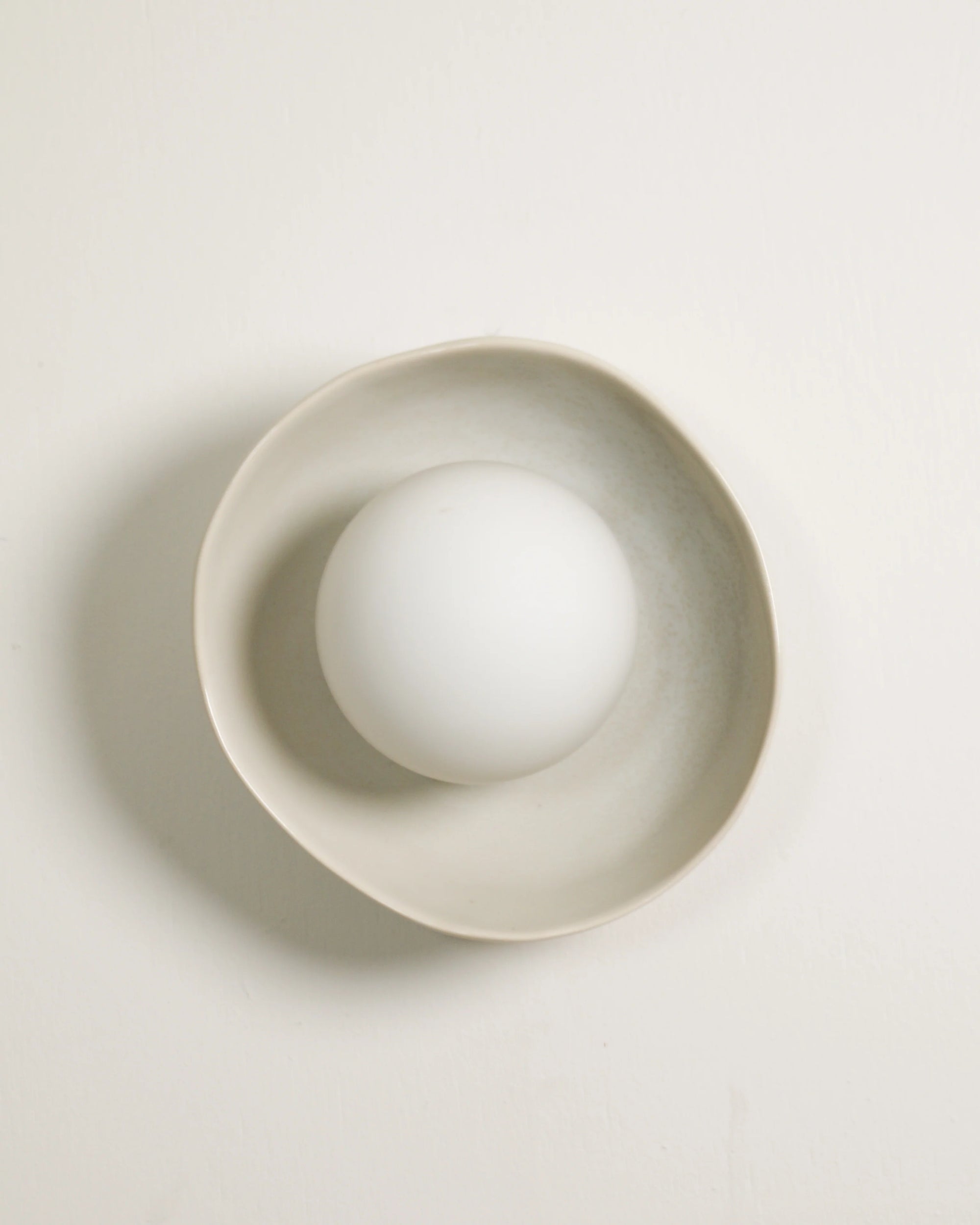 Shell Sconce Wall Light
