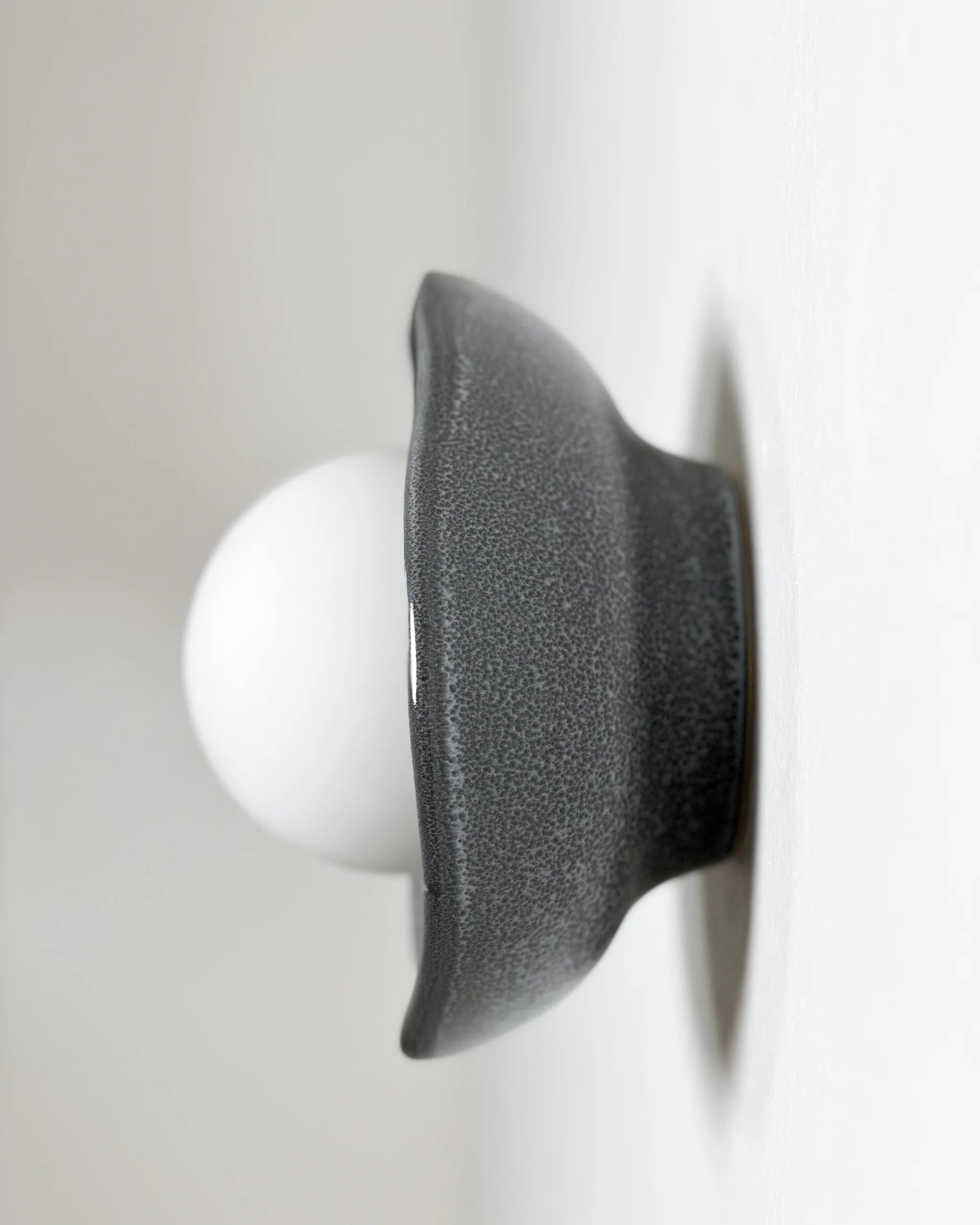 Shell Sconce Wall Light