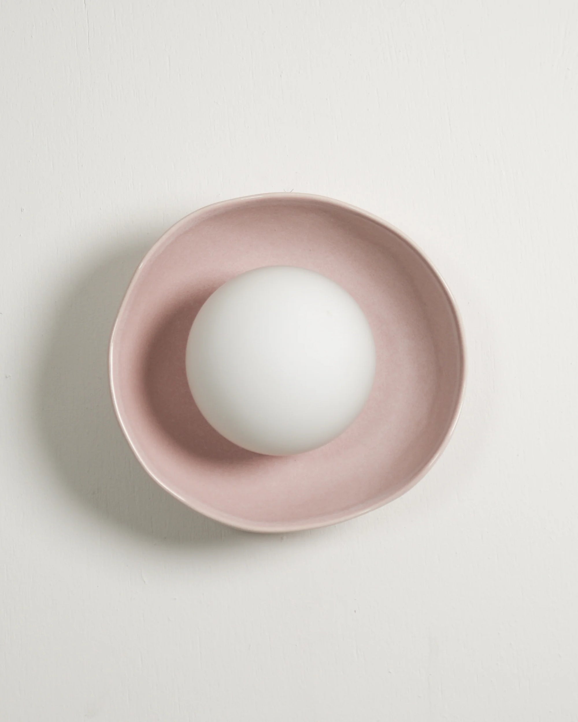 Shell Sconce Wall Light