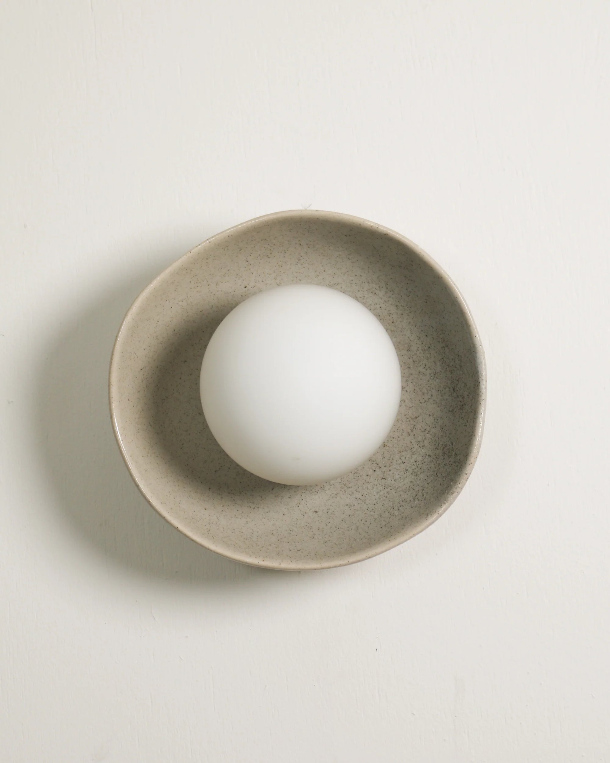Shell Sconce Wall Light